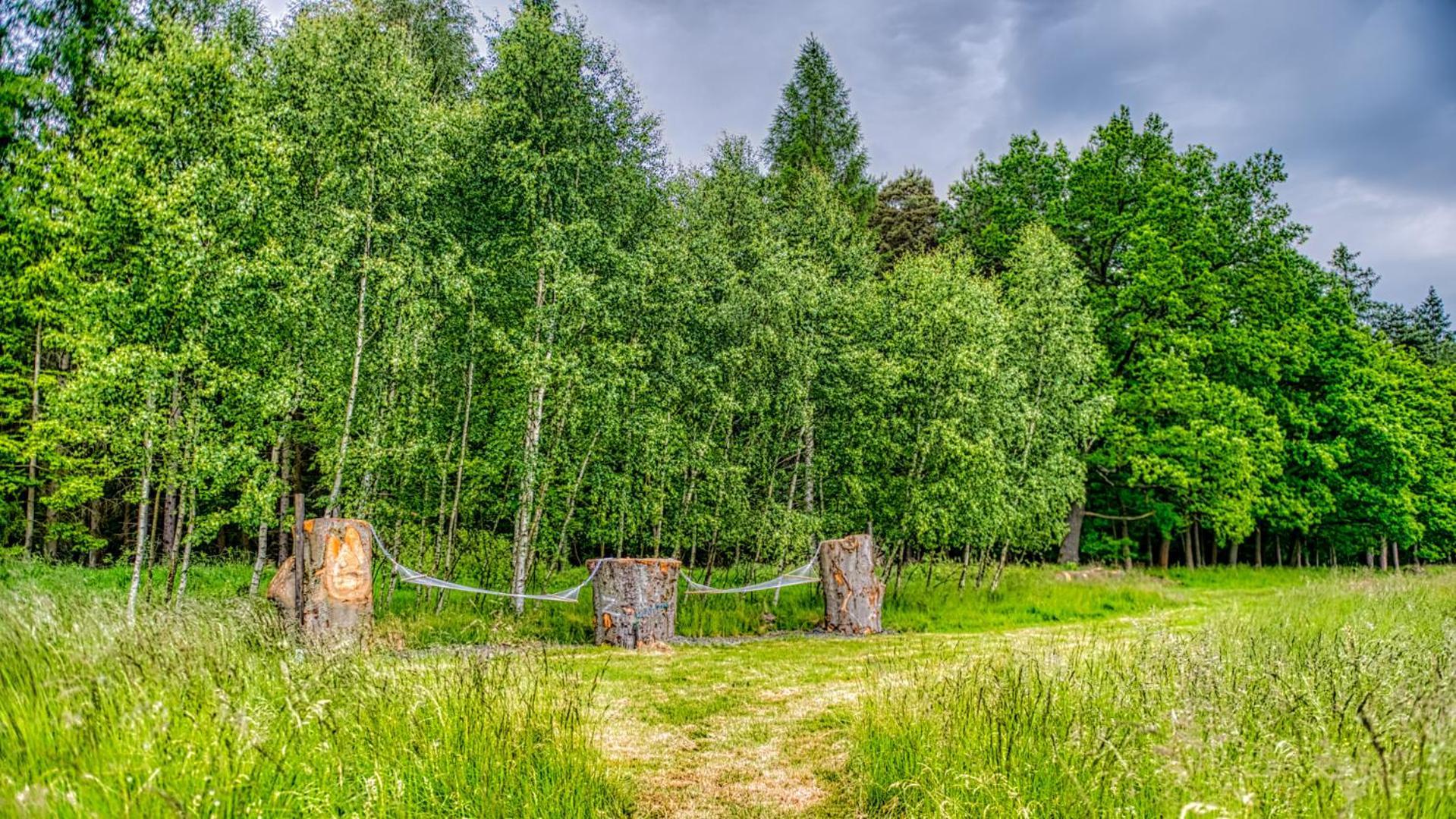 Izerska Baza - rowery ebike, sauna, jacuzzi, las - 5D Apartamenty Giebultow  Zewnętrze zdjęcie